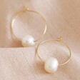 Lisa Angel Ladies' Gold Freshwater Pearl Hoop Earrings