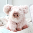 Lisa Angel with Jellycat Curvie Pig Soft Toy