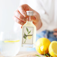 4cl Bottle of Limoncello