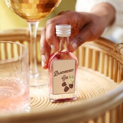 4cl Bottle of Blackberry Gin