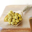 Lisa Angel 20 Stems of Preserved Natural 'Billy Buttons' Craspedia Flowers