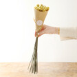Lisa Angel 20 Stem Bouquet of Preserved Natural 'Billy Buttons' Craspedia Flowers
