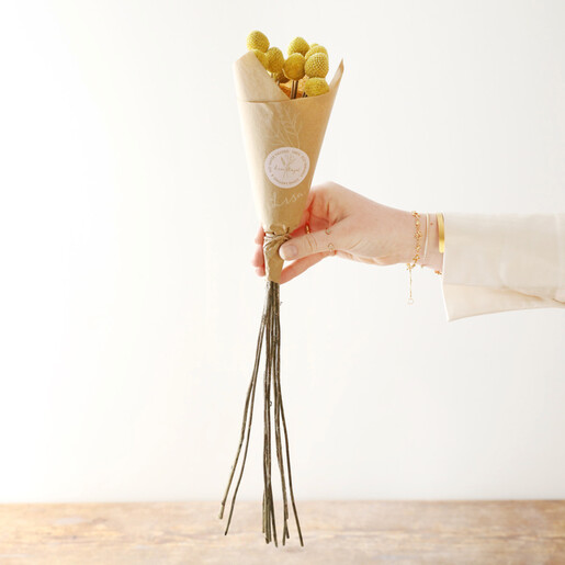 Lisa Angel 10 Stem Posy of Preserved Natural 'Billy Buttons' Craspedia Flowers