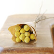 Lisa Angel 10 Stems of Preserved Natural 'Billy Buttons' Craspedia Flowers