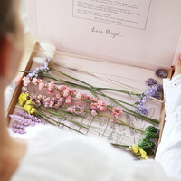 Pastel Cut Dried Flowers Letterbox Gift