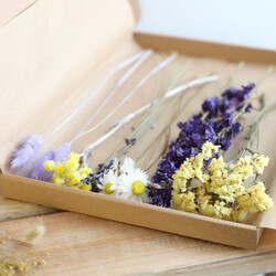 Dried Flowers | Natural Flowers | Lisa Angel