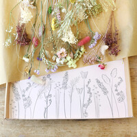 Large Assorted Dried Flower Offcuts
