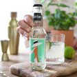 model holding artisan drinks co amalfi lime tonic with plant, glass, cocktail shaker and lime in background