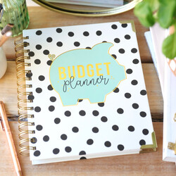Carpe Diem Budget Planner