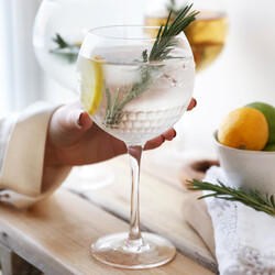 Clear Etched Balloon Gin Glass
