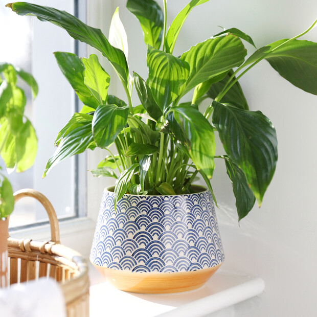 Sass & Belle Japanese Inspired Large Blue Wave Planter, H14cm