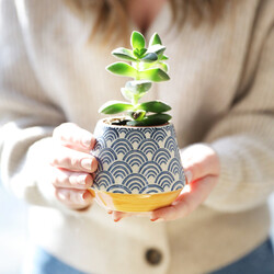 Sass & Belle Japanese Inspired Small Blue Wave Planter, H8cm