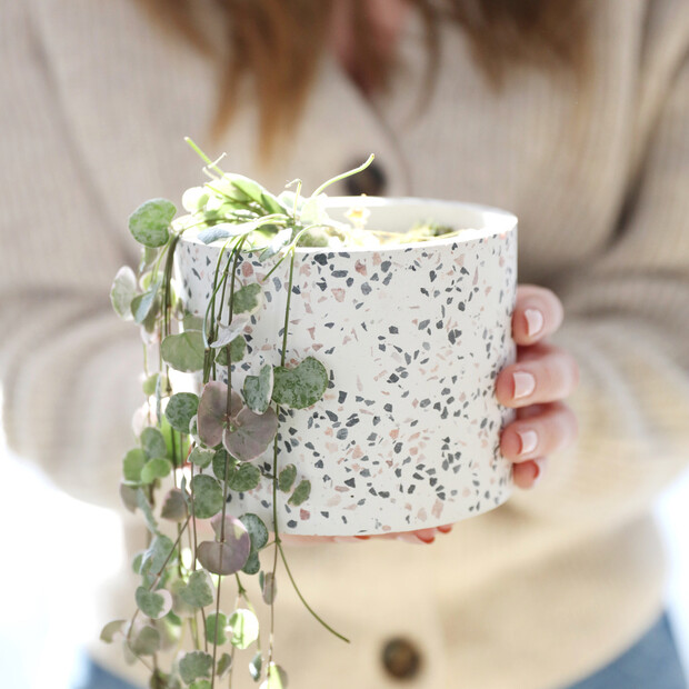 Sass & Belle Large Terrazzo Planter, H10cm