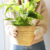 Sass & Belle Sierra Cement Basket Planter