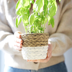 Sass & Belle Small White Dip Cement Basket Planter, H10.5cm