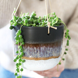 Sass & Belle Black Mojave Glaze Hanging Planter, H10cm