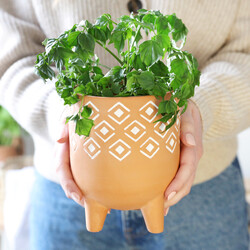 Sass & Belle Geometric Terracotta Planter, H15.5cm