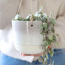 Sass & Belle Grey Mojave Glaze Hanging Planter