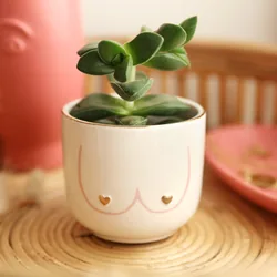 Sass & Belle Mini 'Girl Power' Boobies Planter