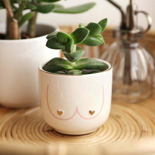 Sass And Belle Lady Mini Planter 