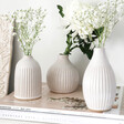 Lisa Angel Stylish Sass & Belle Set of 3 Grooved Bud Vases