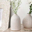 Lisa Angel with Sass & Belle Ceramic Set of 3 Grooved Bud Vases