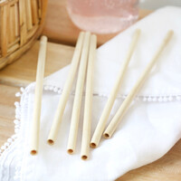 Sass & Belle Set of 6 Bamboo Straws