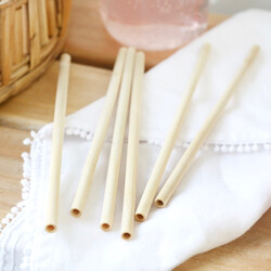 Sass & Belle Set of 6 Bamboo Straws