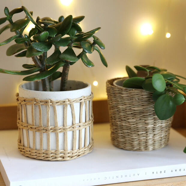 Sass & Belle Small Woven Seagrass Planter | Lisa Angel