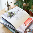 Hanging Indoor Gardens in Succulents and All Things Under Glass Book Lisa Angel