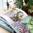 Photography in Succulents and All Things Under Glass Book Lisa Angel