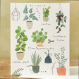 Illustrated Plant Greeting Card on table
