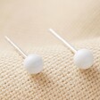 White Ball Stud Earrings in Gold on fabric background