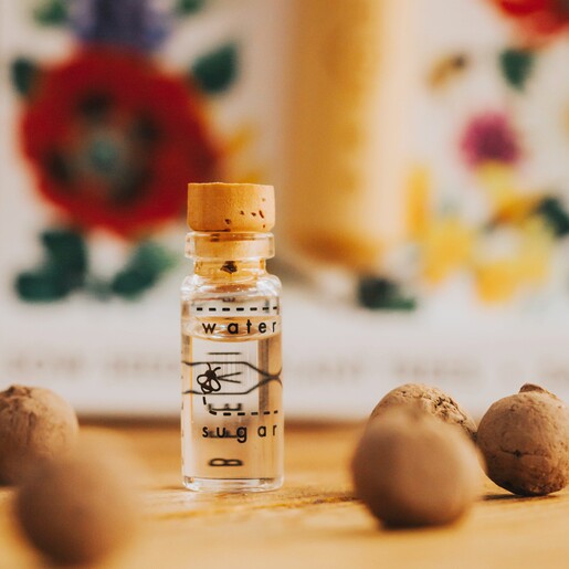 glass bottle of syrup and seedballs from Beevive Bamboo Bee Revival Kit Keyring in Gold