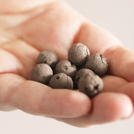 model holding seedballs in hand from Beevive Bamboo Bee Revival Kit Keyring in Gold