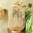 Hanging Rattan Lantern with Candle Holder With Plants