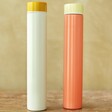 Designworks Ink Slim Flask Bottle in Mint and Ochre and Citron and Coral