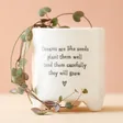 East of India Dreams Are Like Seeds Planter With Plant Inside 