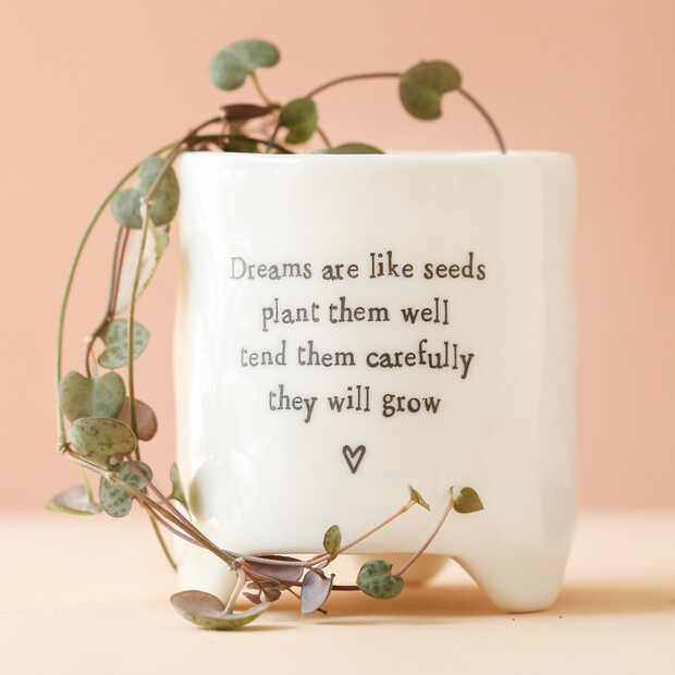 East of India Dreams Are Like Seeds Planter East of India Dreams Are Like Seeds Planter