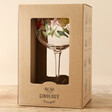 Tulip Balloon Gin Glass in Packaging