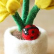 Ladybird on Felt Daffodil Pot Decoration