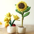 Felt Daffodil Pot Decoration and Sunflower Decoration