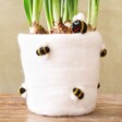 Close Up of Felt Honey Bee Plant Pot Cover in White with Plant