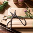Steel Bonsai Pruning Shears on Wrapped Gift