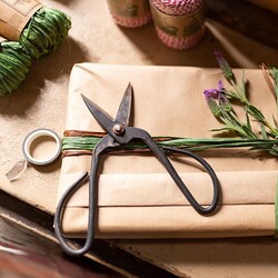 Steel Bonsai Pruning Shears