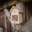 Wooden Bee House Hanging on Wooden Structure 
