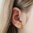 Enamel Butterfly Stud Earrings in Gold on Model