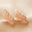 Rose Gold Feather Stud Earrings on fabric