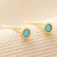 December Turquoise Sterling Silver Birthstone Stud Earrings in Gold