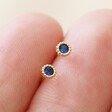 Model Holds Sapphire Sterling Silver Birthstone Stud Earrings in Gold